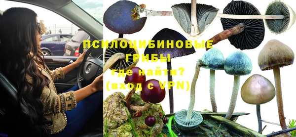 дурь Нефтекумск