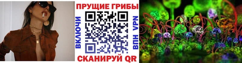 где можно купить наркотик Комсомольск-на-Амуре KRAKEN tor Галлюциногенные грибы прущие грибы